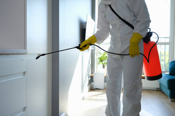 Best Asbestos and Lead Testing During Mold Inspection  in Santa Fe Springs, CA